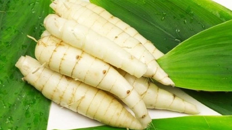 Rau củ