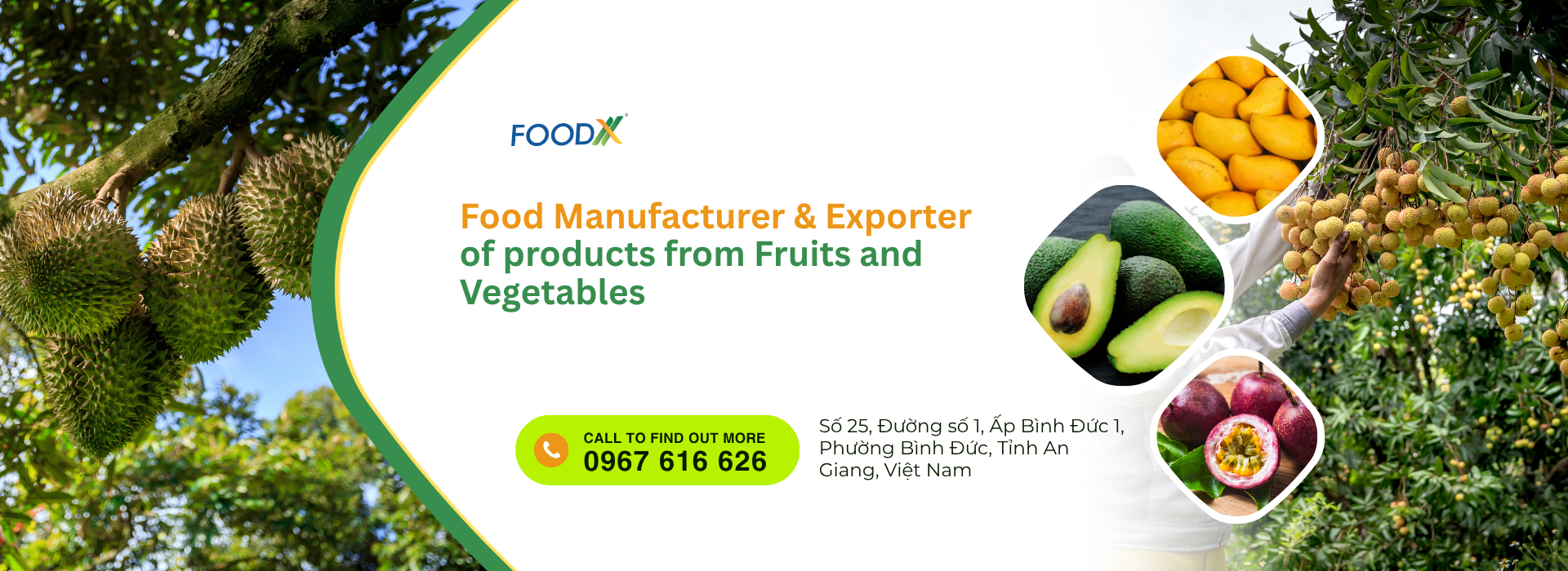 Foodx