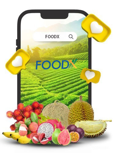 Đôi nét về chúng tôi
