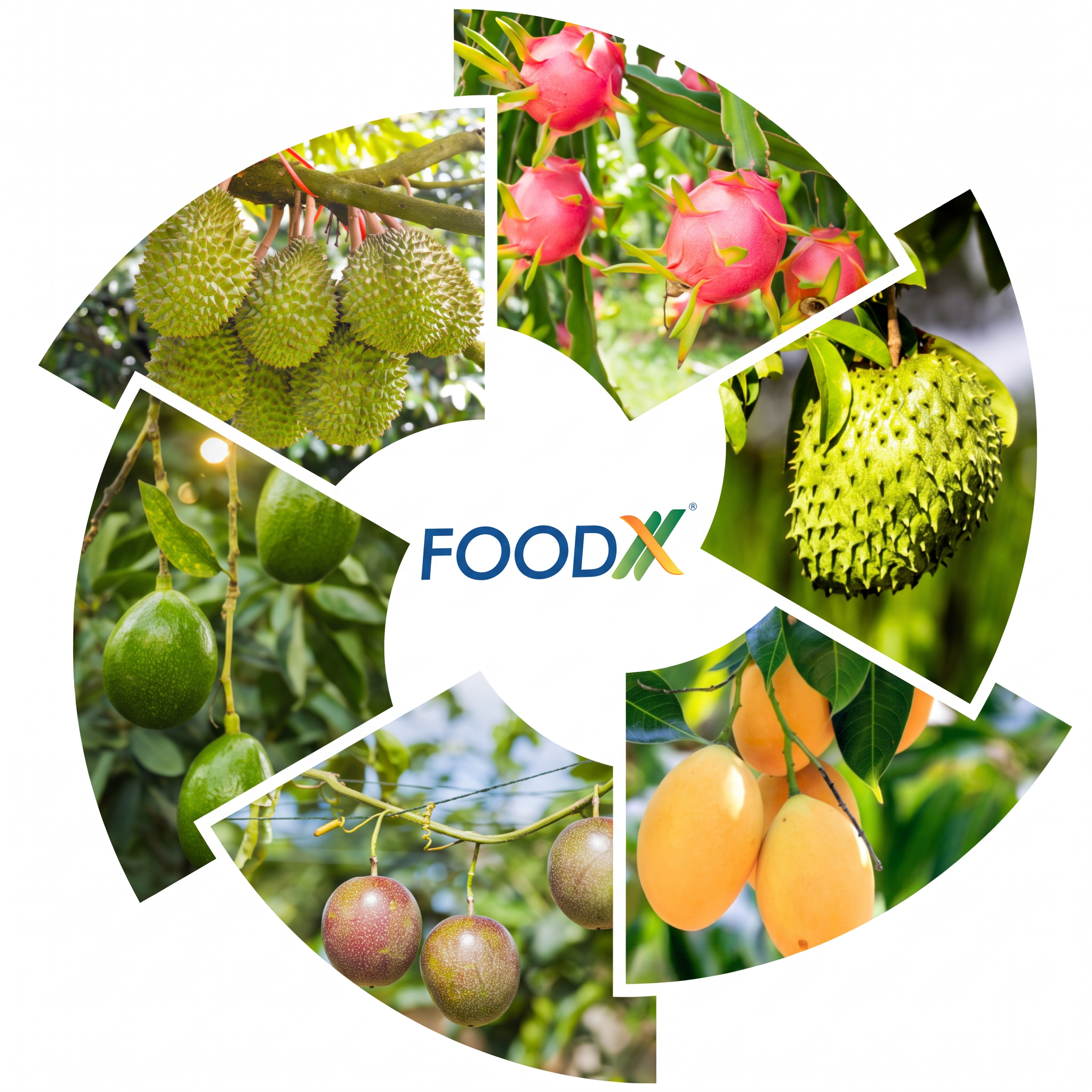 Foodx