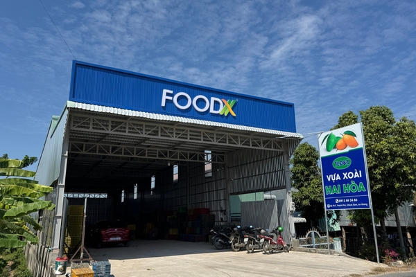 Trái cây đông lạnh FOODX