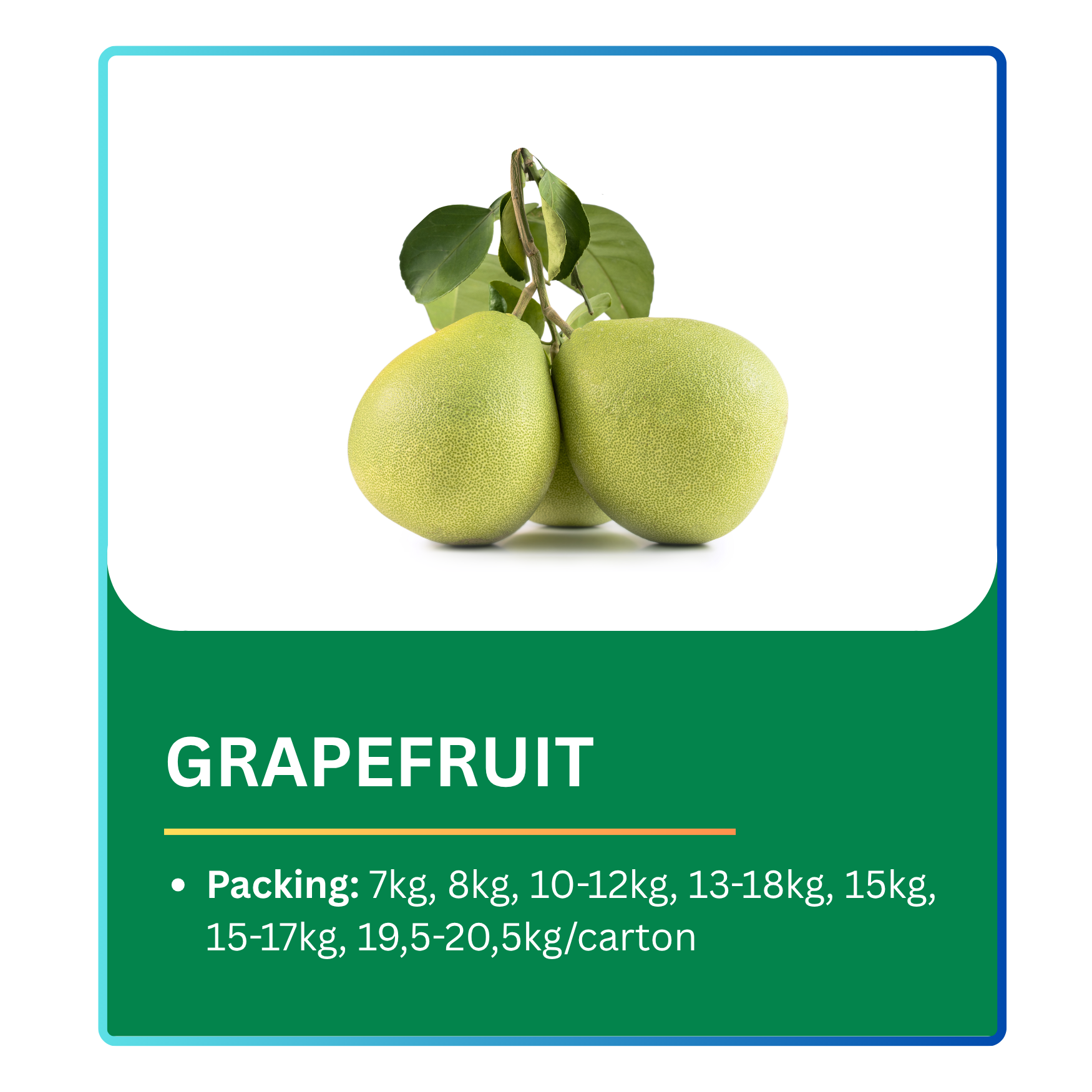 Grapefruit