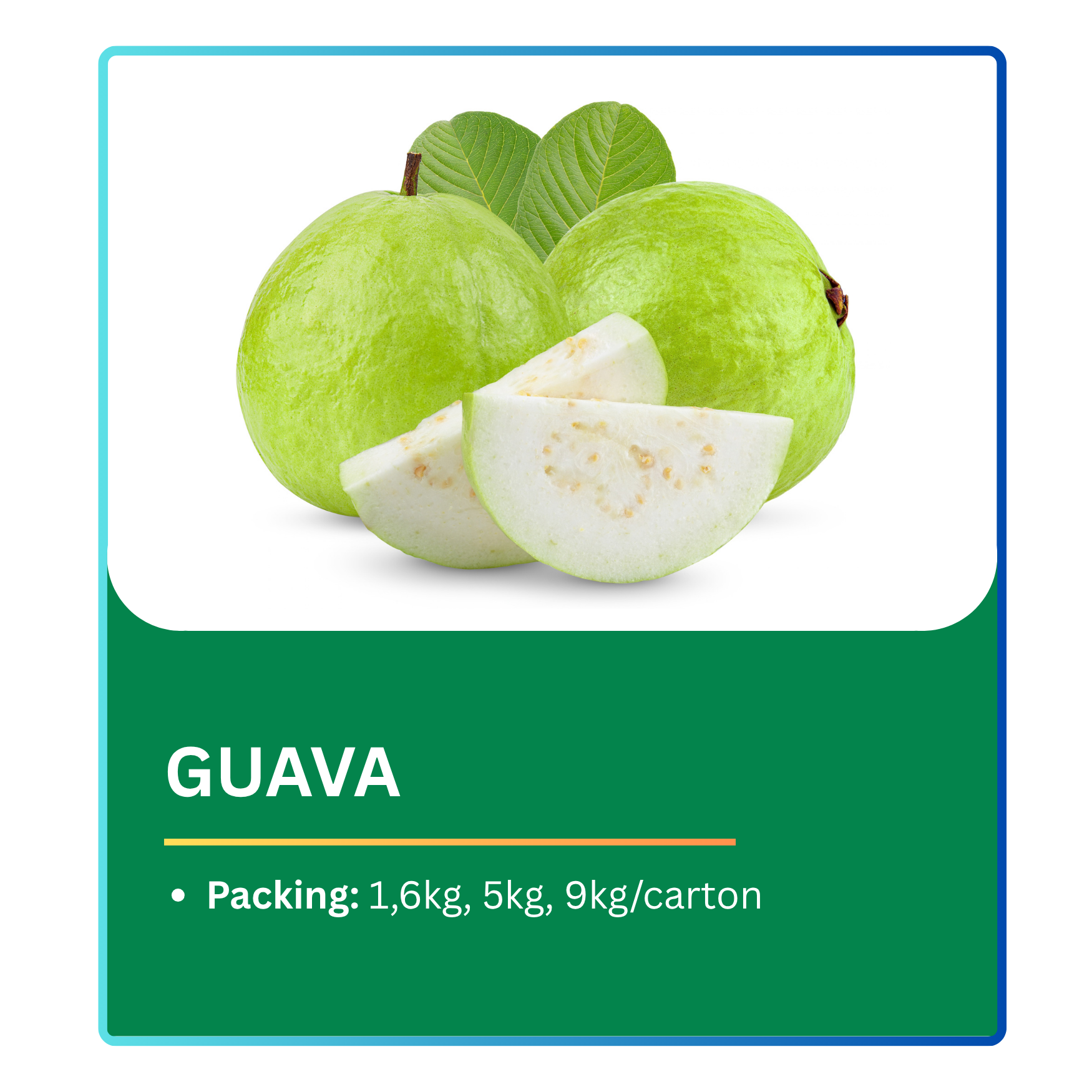Guava