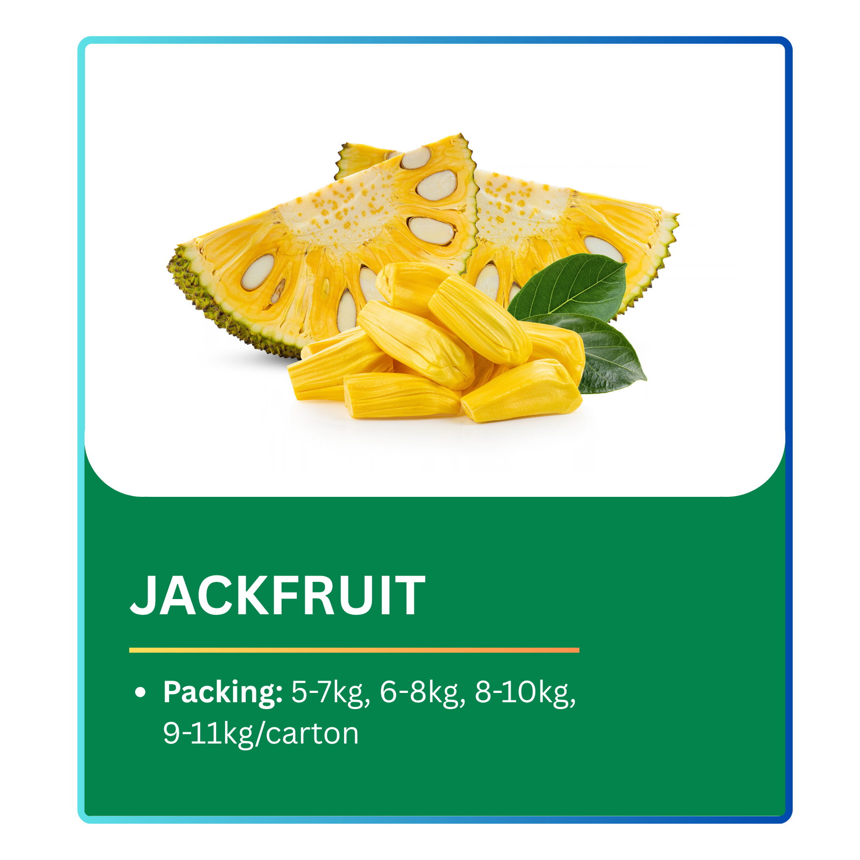 Jackfruit